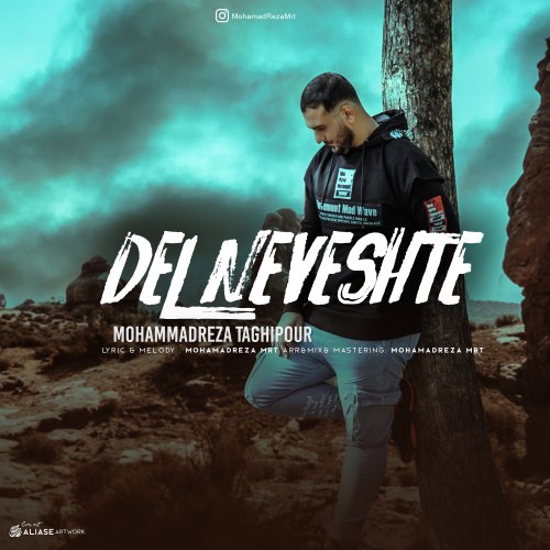 محمدرضا تقی پور دلنوشته